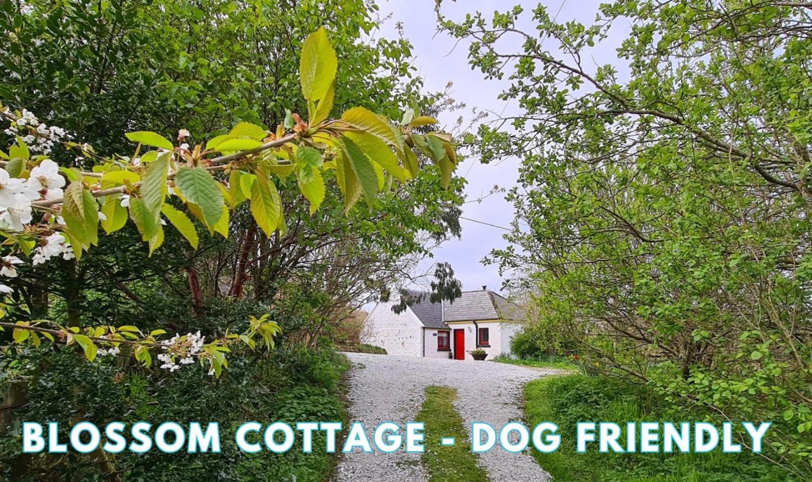 Araucaria Croft Skye Villa Dunvegan  Exterior photo